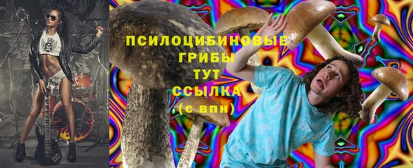 каннабис Богданович