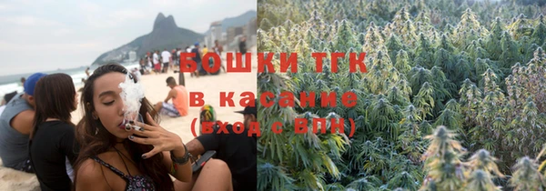 соль ск Богородск