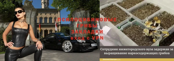 соль ск Богородск