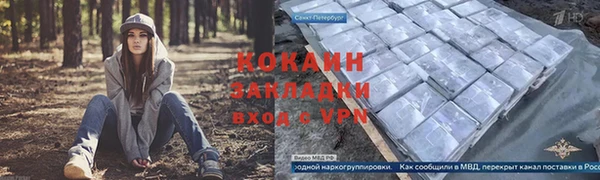 соль ск Богородск