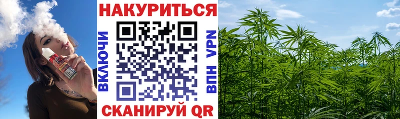 Конопля планчик  Новокузнецк 